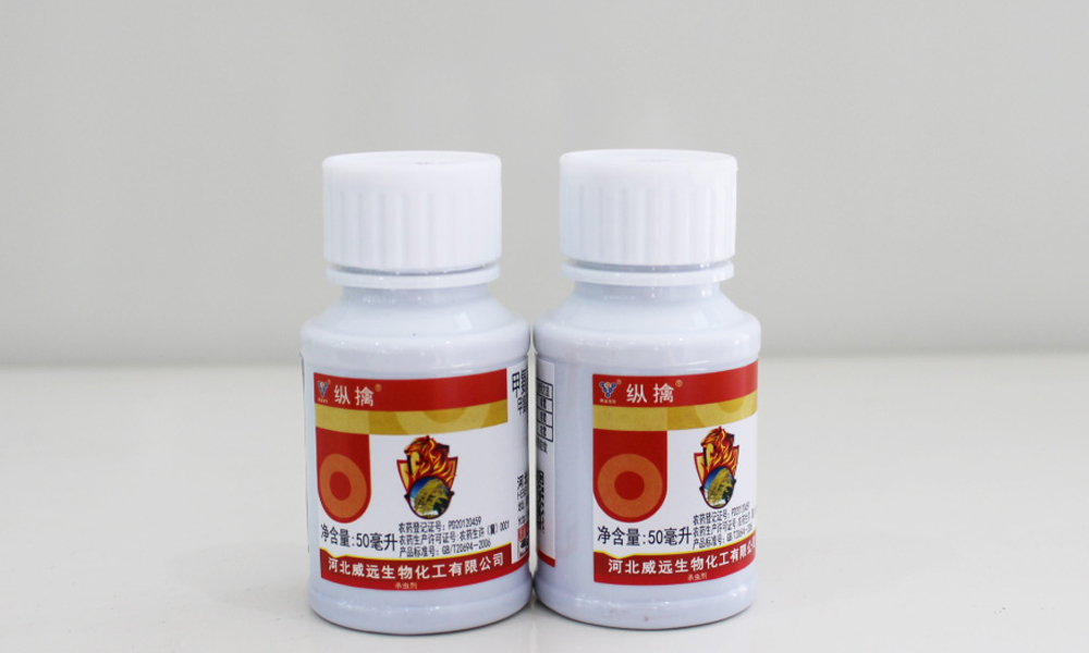 縱擒